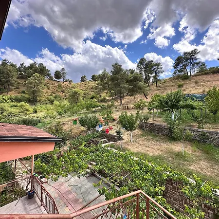 Zholi * Gjirokastër