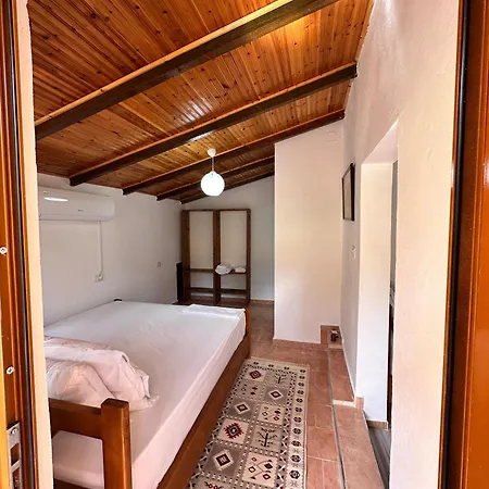 Zholi Gjirokastër