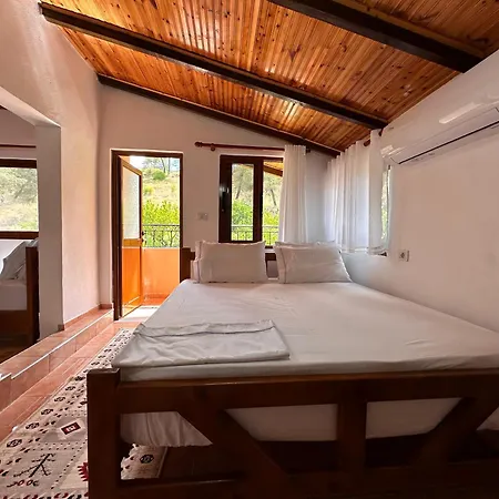 Zholi * Gjirokastër