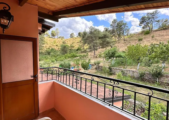 Zholi Gjirokastër